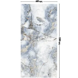 Asia-Silver-T2223