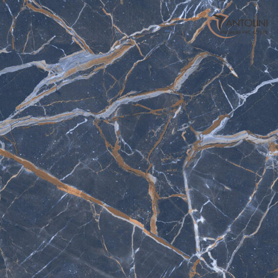 Caselonia-Blue - Image 2