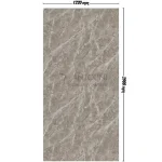 Sandy Stone