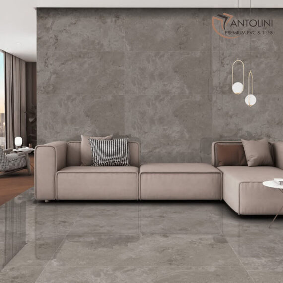 Silex-Orce - Image 2