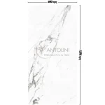 Statuario-Silivia-T2262